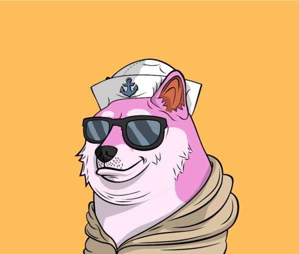 The sailor dog