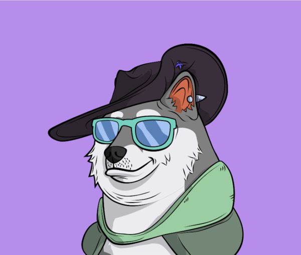 The styled dog