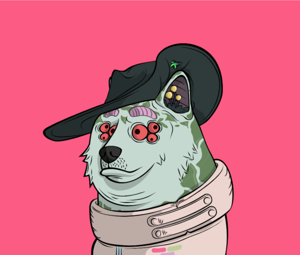 The infected dog