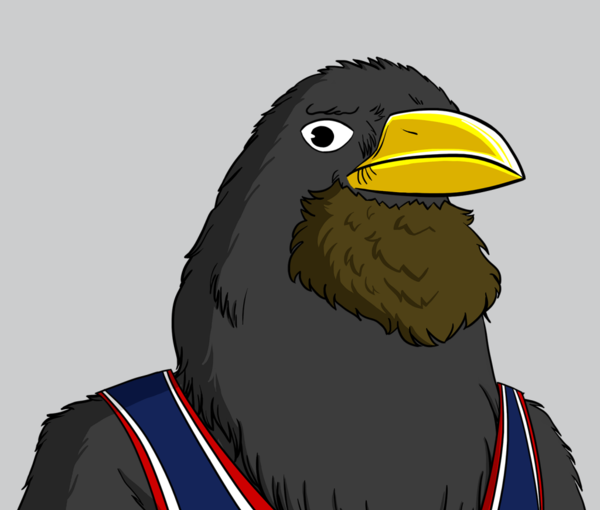 The sports eagle