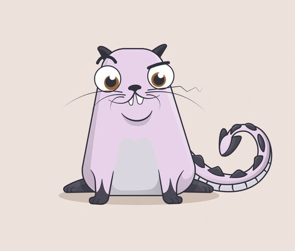 The wise kitty