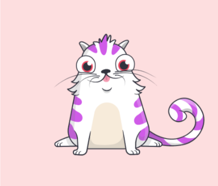 The candy kitty