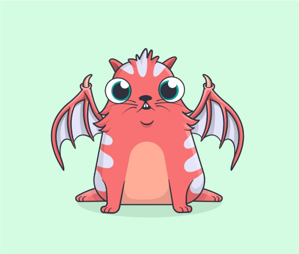 The winged kitty