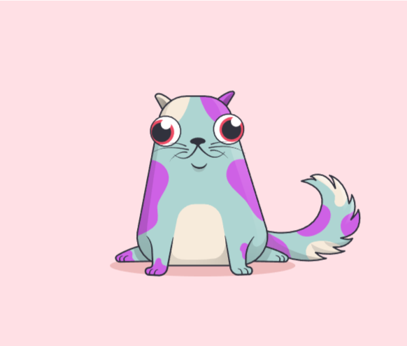 The spot kitty