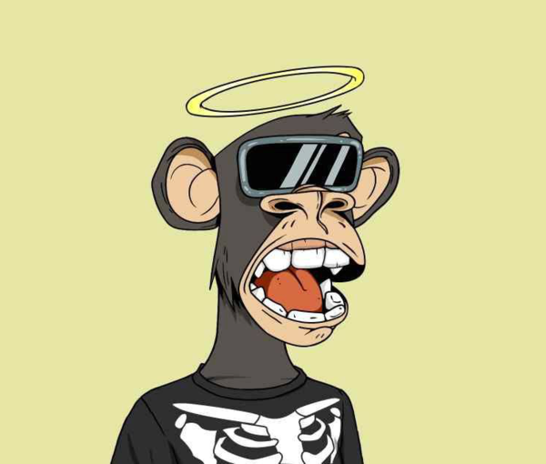 The angel monkey